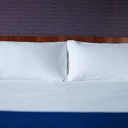 Express Strasbourg - Sud By Ihg 3*