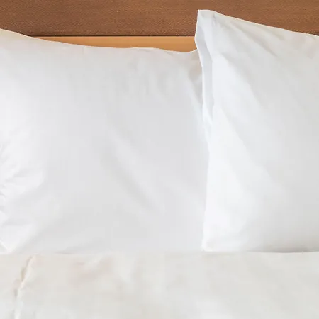 Express Strasbourg - Sud By Ihg 3*