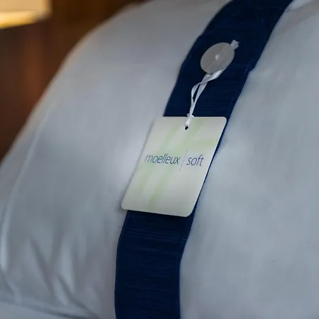 Express Strasbourg - Sud By Ihg Hotel Geispolsheim