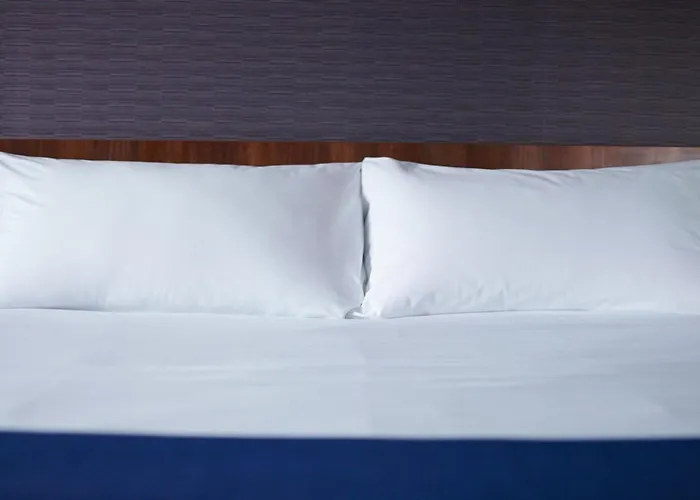 Express Strasbourg - Sud By Ihg 3*