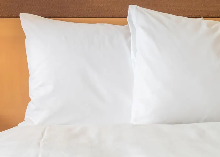 Express Strasbourg - Sud By Ihg 3*