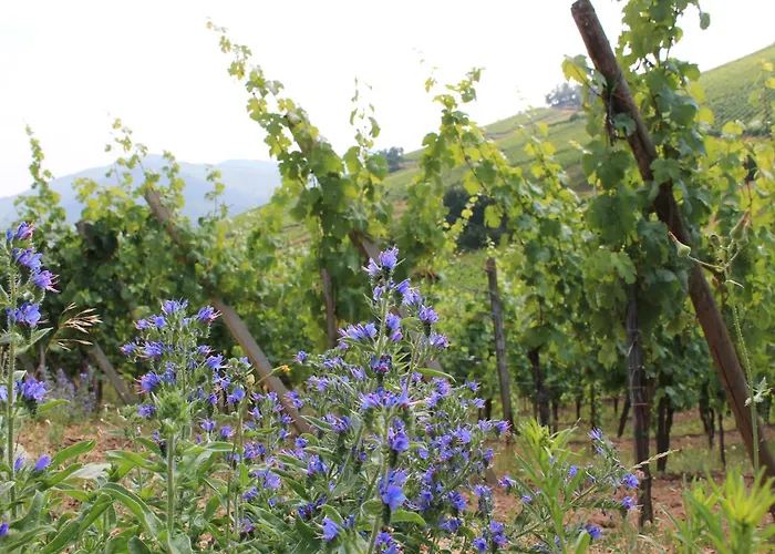 Hotel Express Strasbourg - Sud By Ihg Geispolsheim